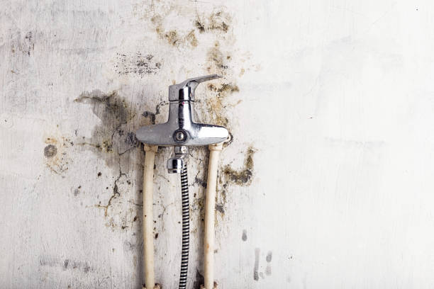 Mold Testing and Removal in Norton Shores, MI